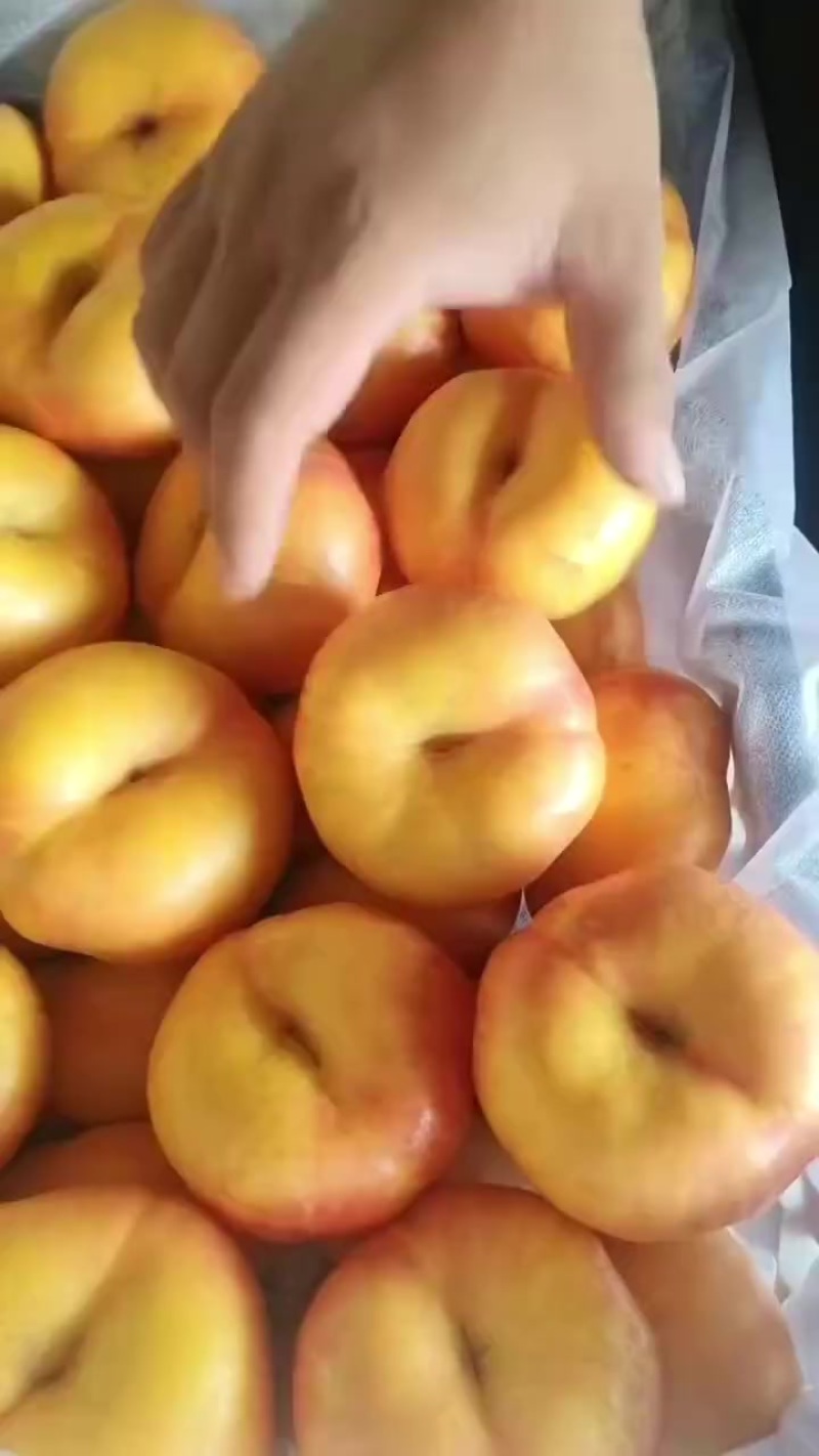 油蟠桃