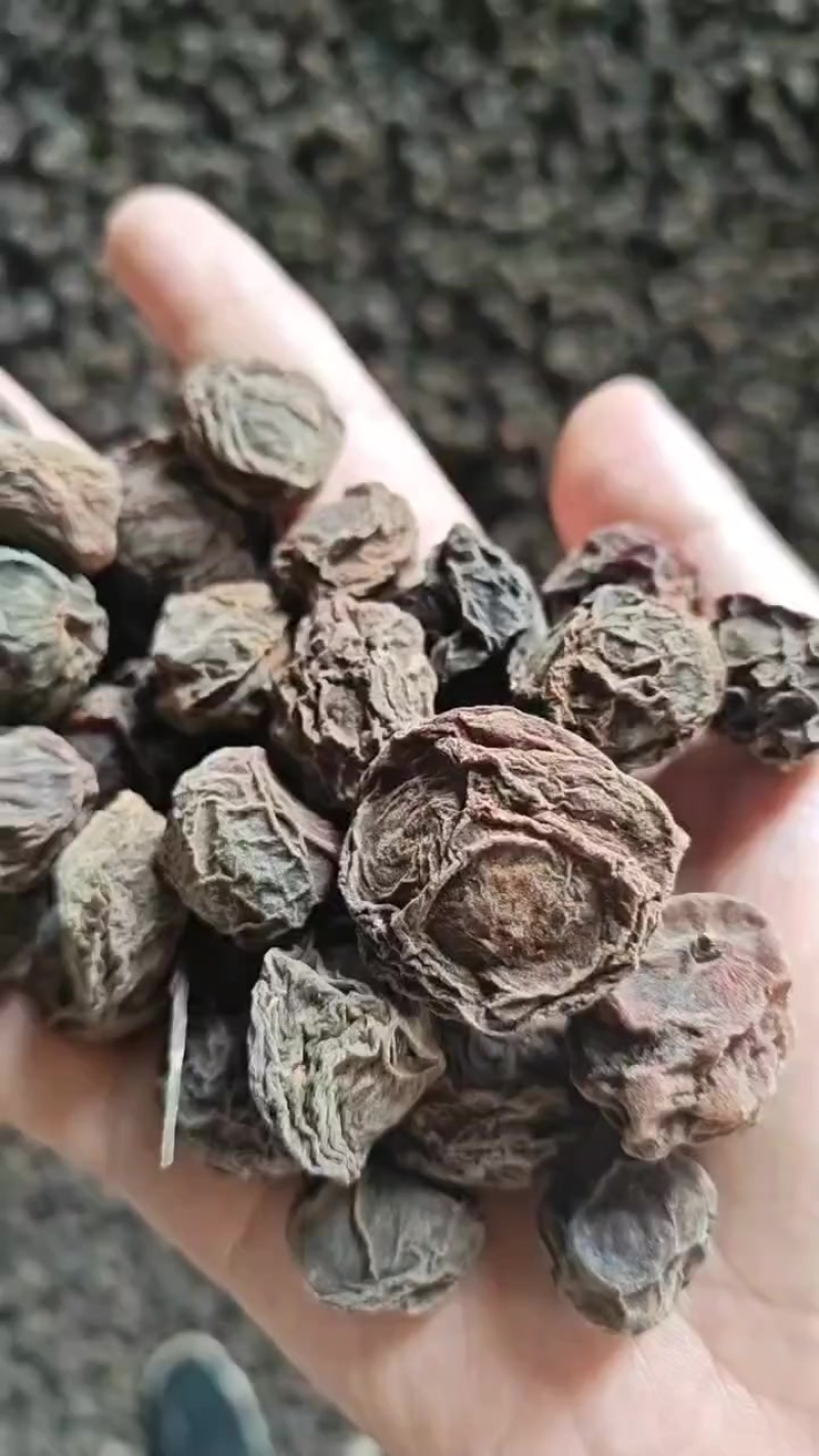 乌梅
