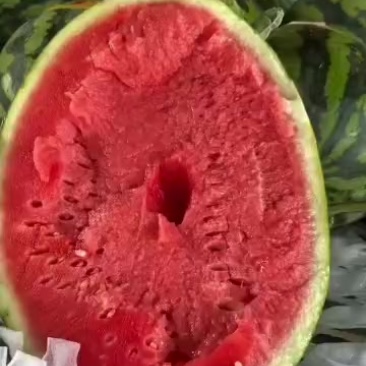 大甜王