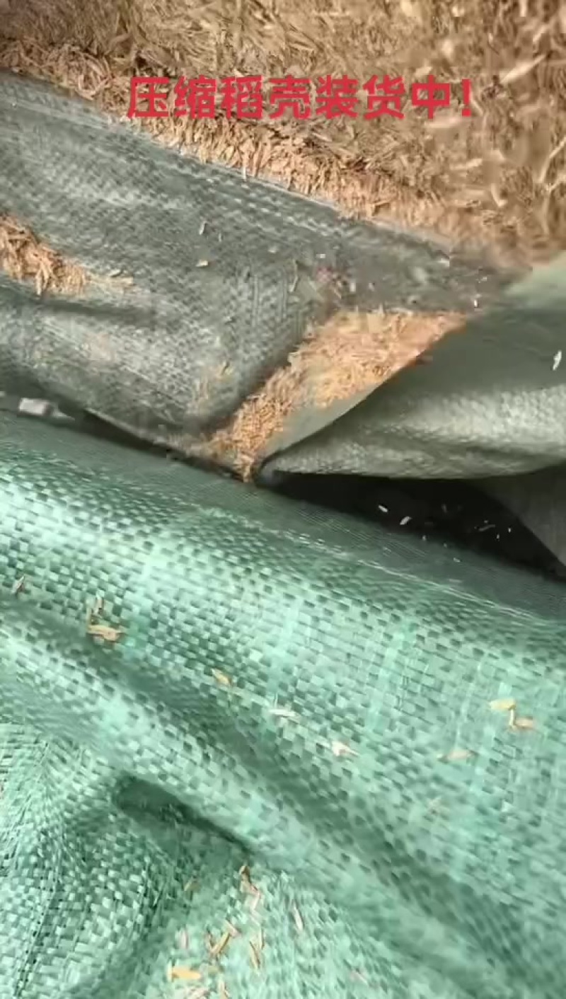 压缩稻壳装货中
