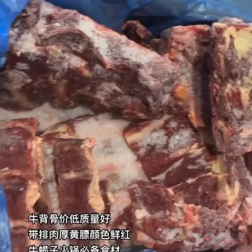 牛背骨价低质量好