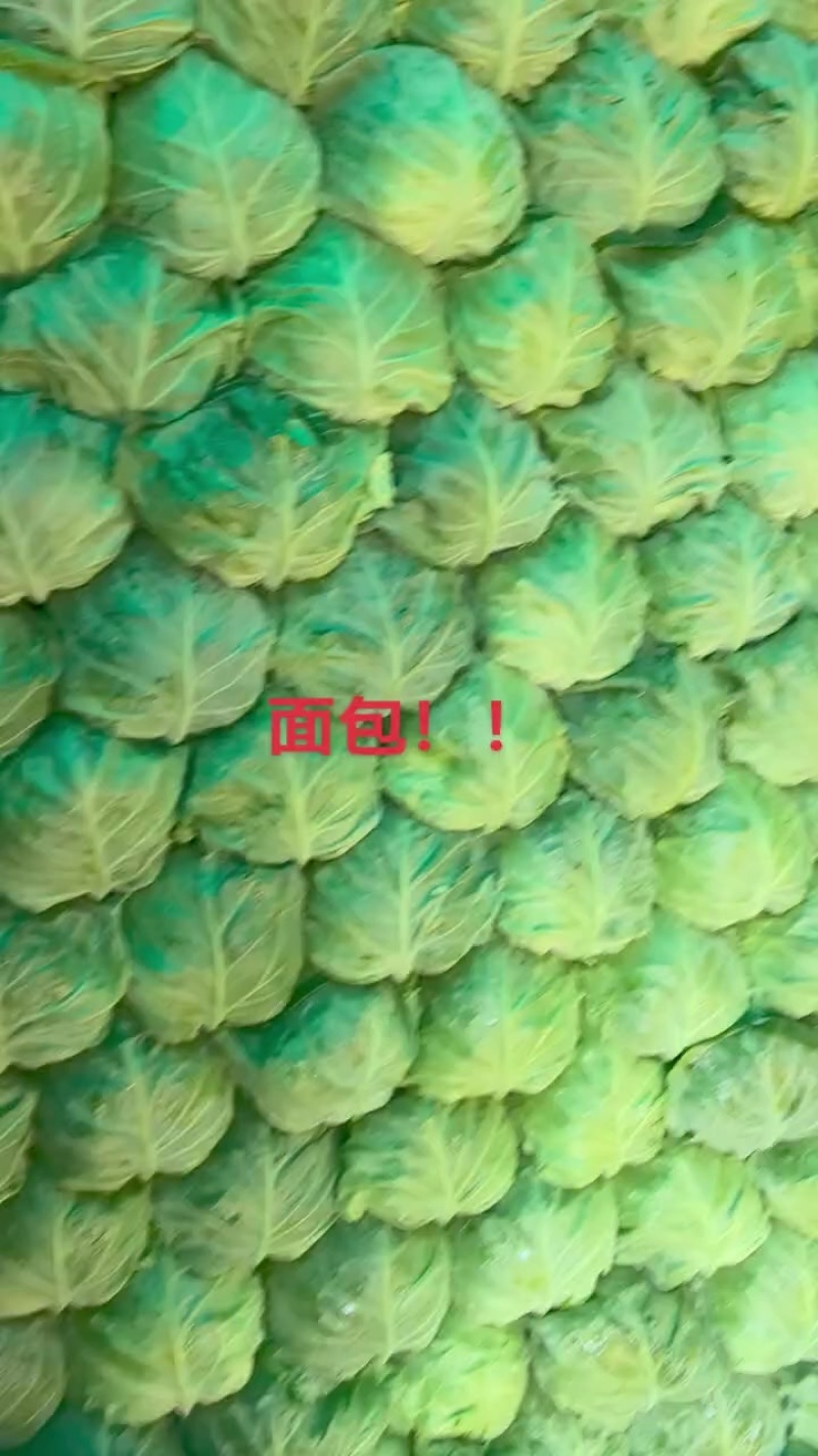 面包菜，大手感甘蓝