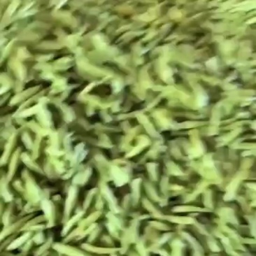 泡椒