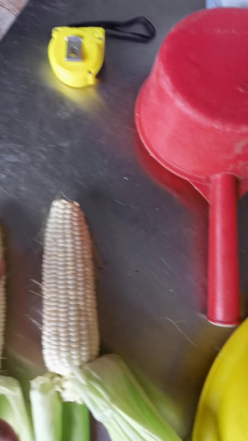 鲜食玉米：水果玉米