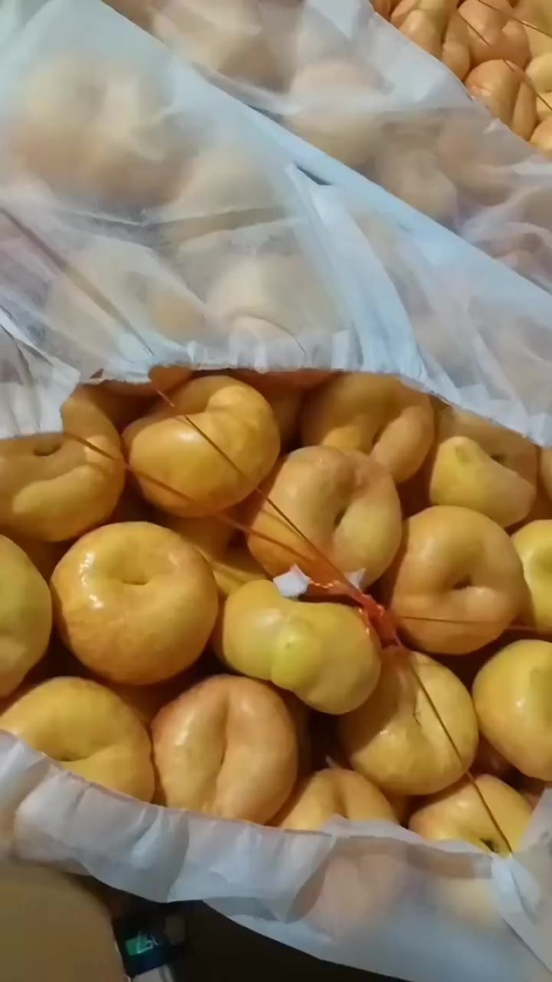 蟠桃9大量上市了中有需要老板联系我