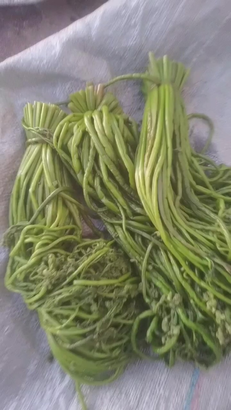 卖腌渍厥菜