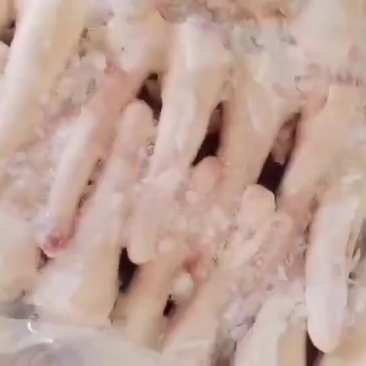 中小猪短尾6吨