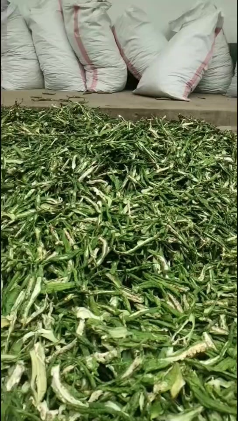 干辣椒条