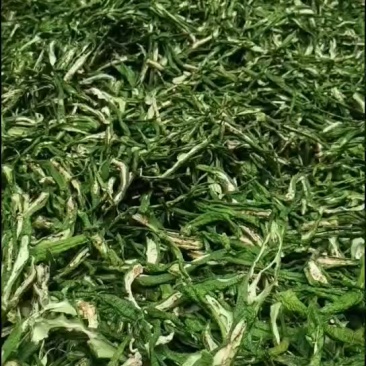 干辣椒条
