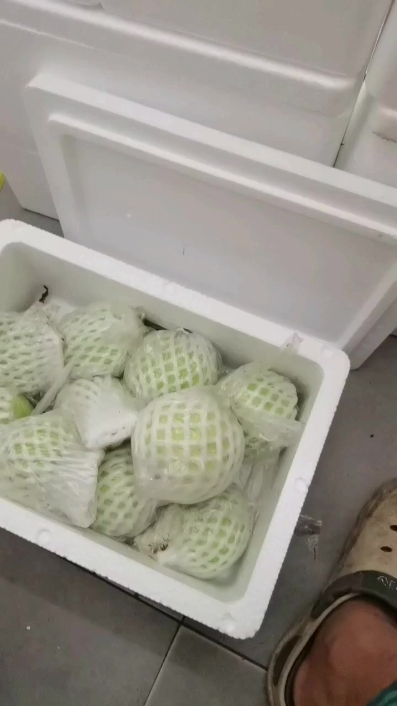 番石榴