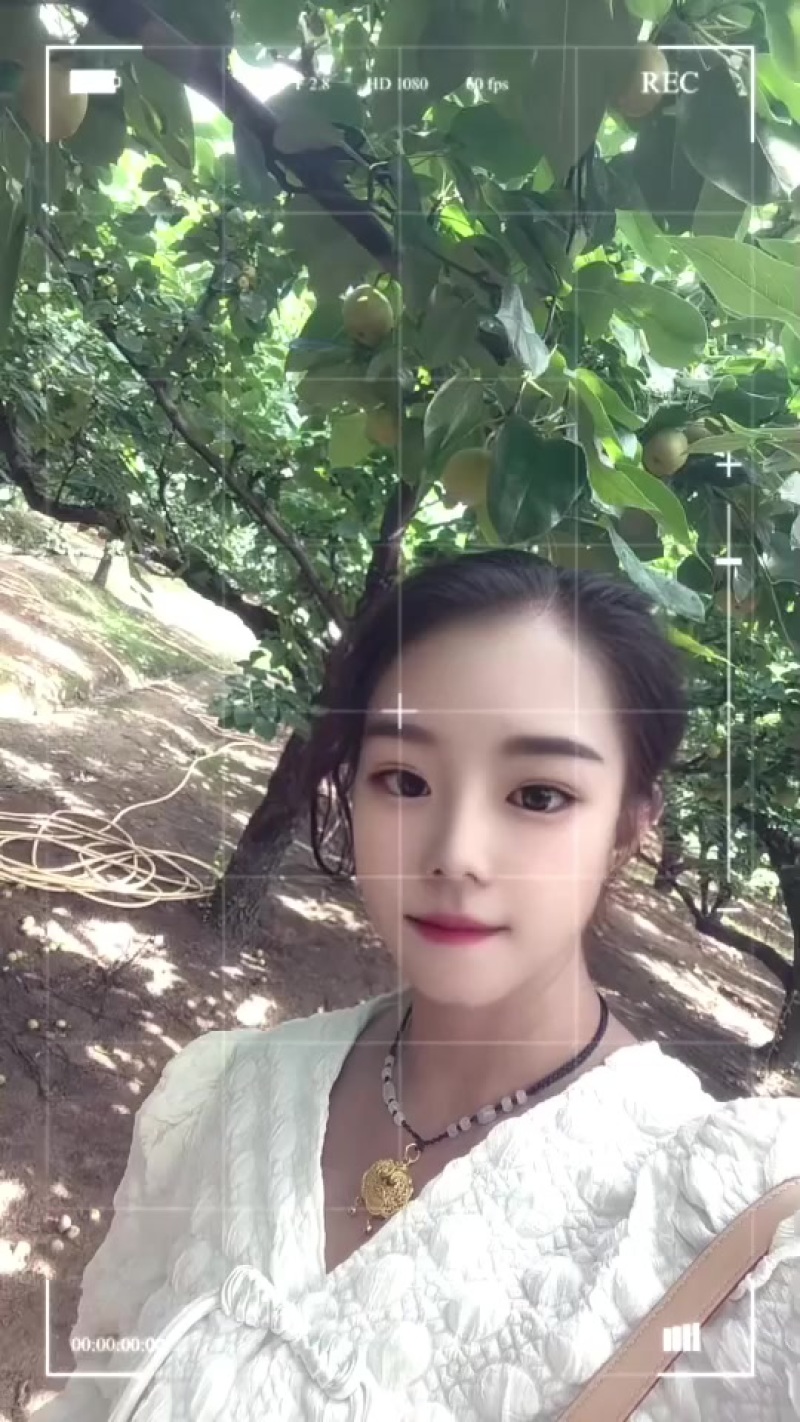 建宁县翠冠梨准备开始卖咯