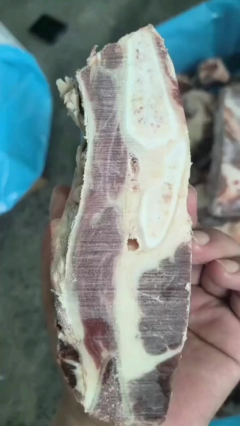 脐橙板