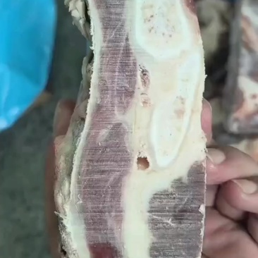 脐橙板