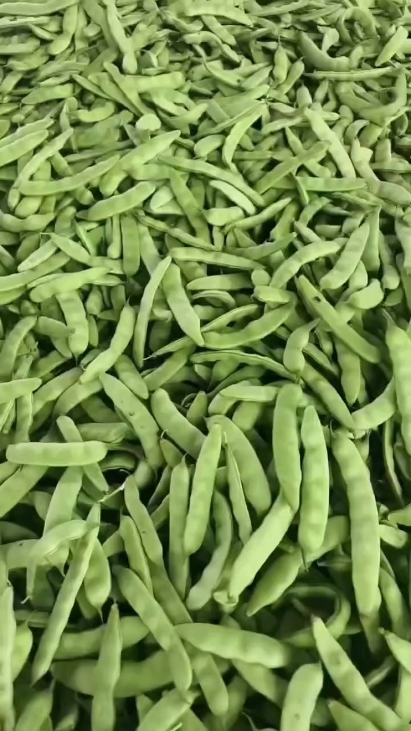 精品大油豆