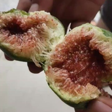 无花果