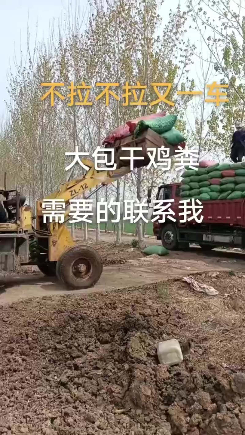 本人长年销售兔粪、干鸡粪、鹌鹑粪、发硝鸡粪、干猪粪