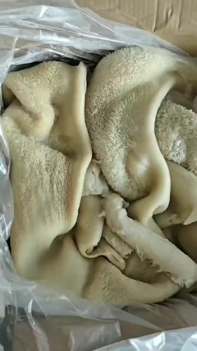国产熟牛肚好价