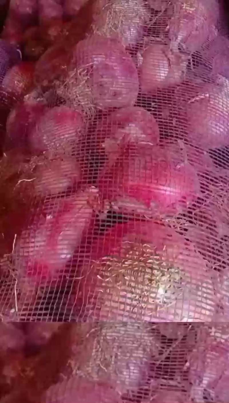二红，价格不高。已装好袋，来拉就行