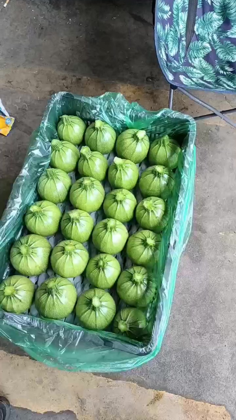 精品小瓜