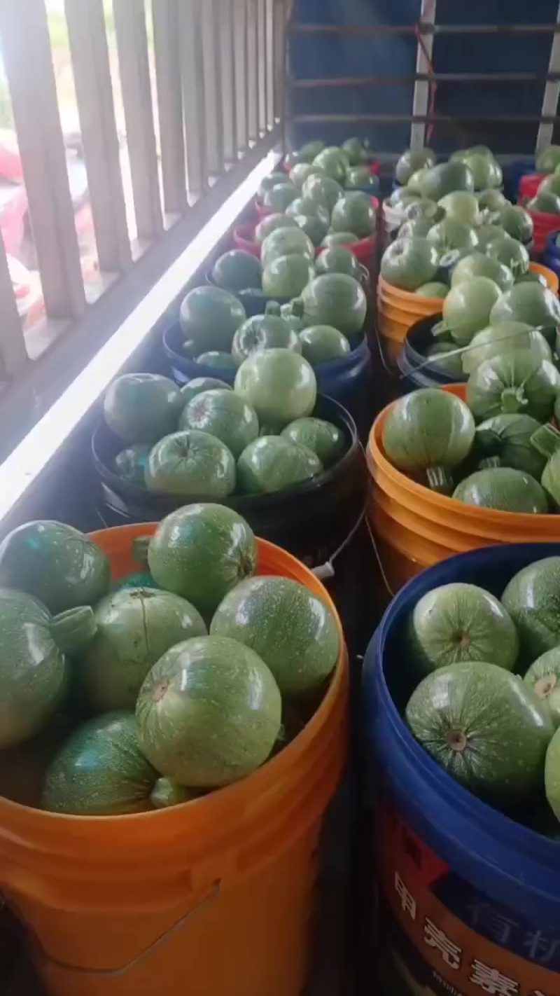 精品小瓜