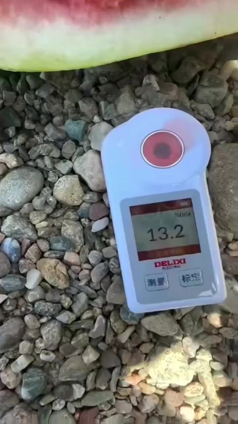 甘肃石头瓜大量上市，有需要的随时联系