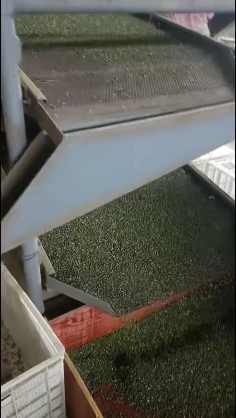 万州颗颗香花椒