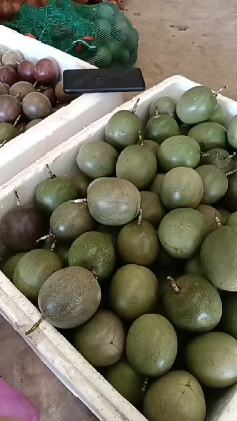 紫果百香果