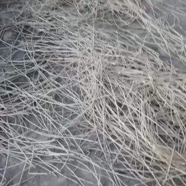 葛麻