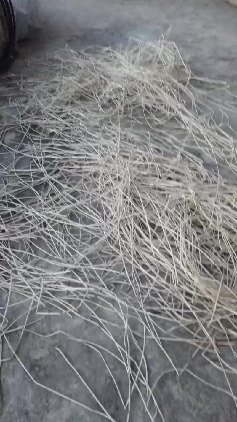 葛麻