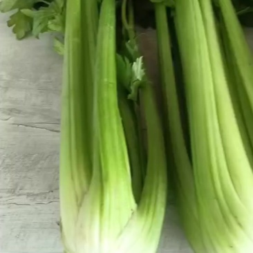 西芹
