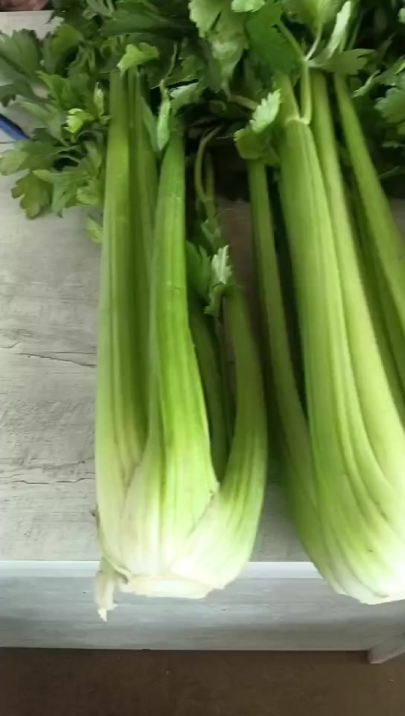 西芹