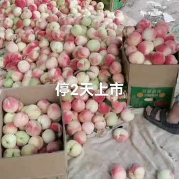 精品桃子
