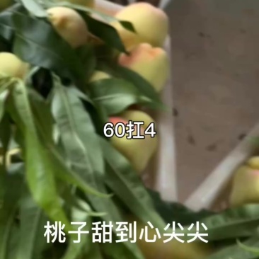 60扛4