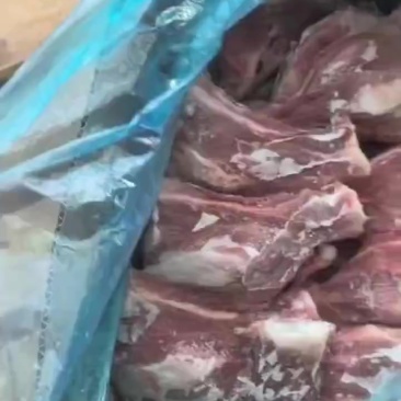 扇子骨