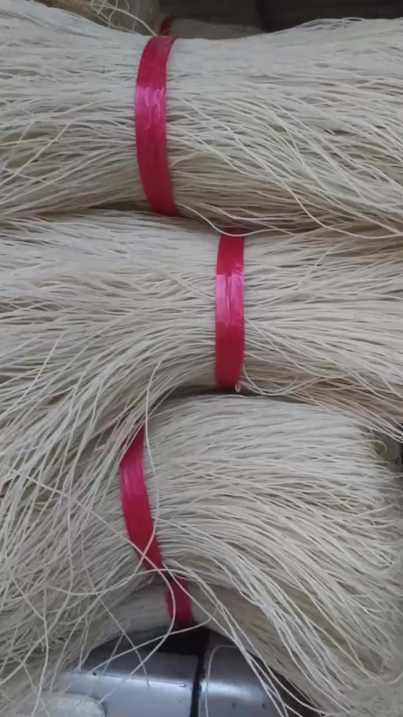 红署粉条