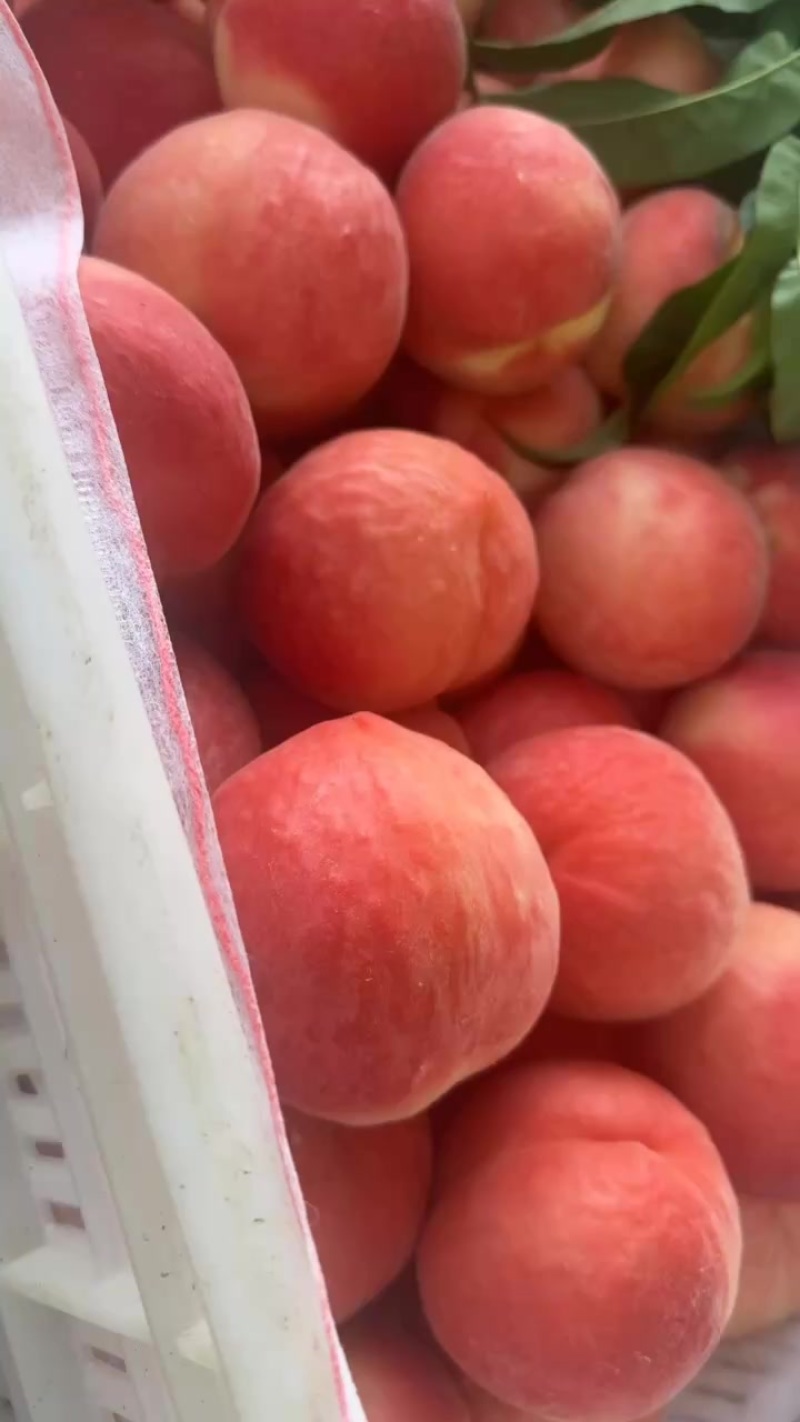 桃
