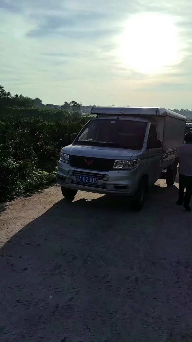 西瓜哦搞快点哦，这个忙得根本搞不赢