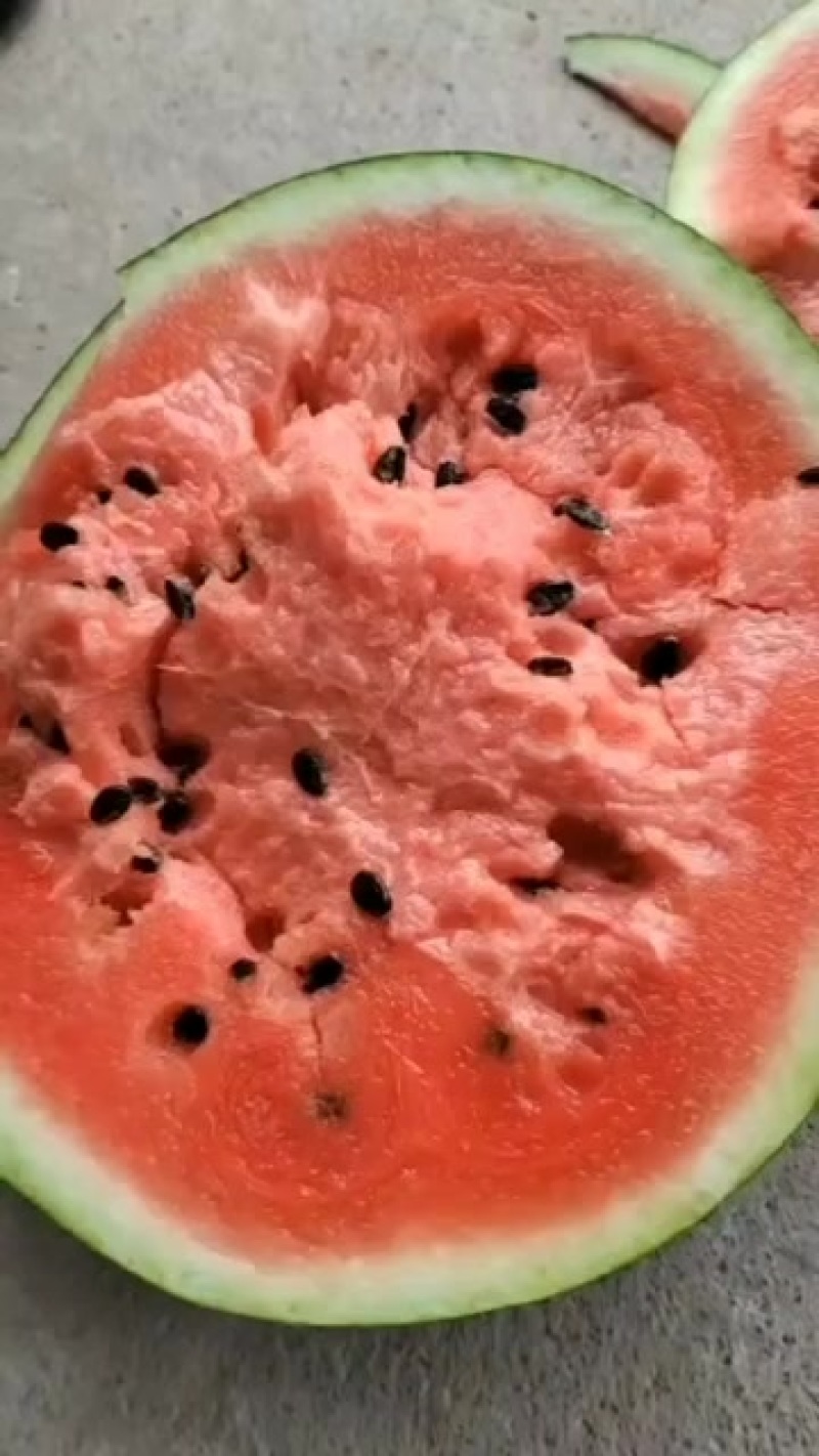 西瓜哦搞快点哦，这个忙得根本搞不赢