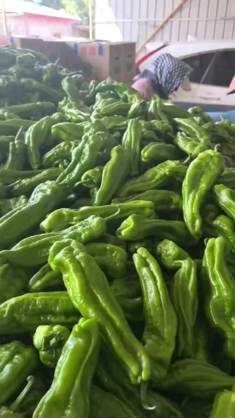 精品芜湖