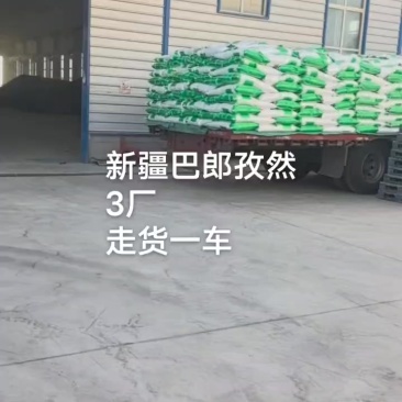 新疆巴郎孜然新疆孜然源头工厂