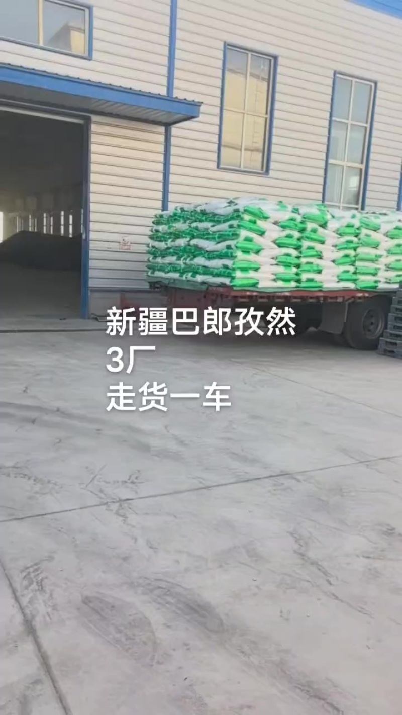 新疆巴郎孜然新疆孜然源头工厂