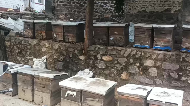 农家蜂蜜