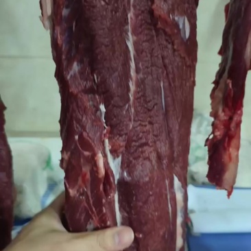 牛肉什么部位都有