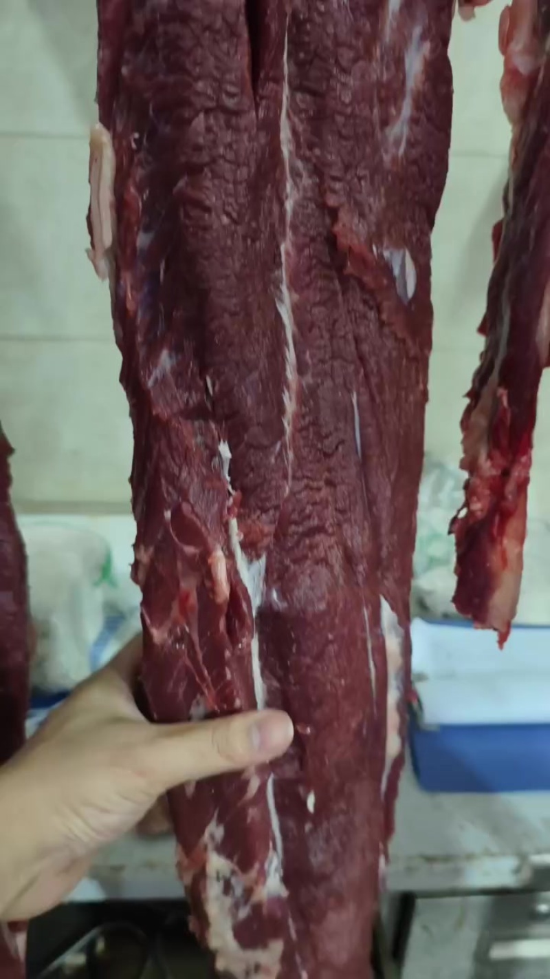 牛肉什么部位都有