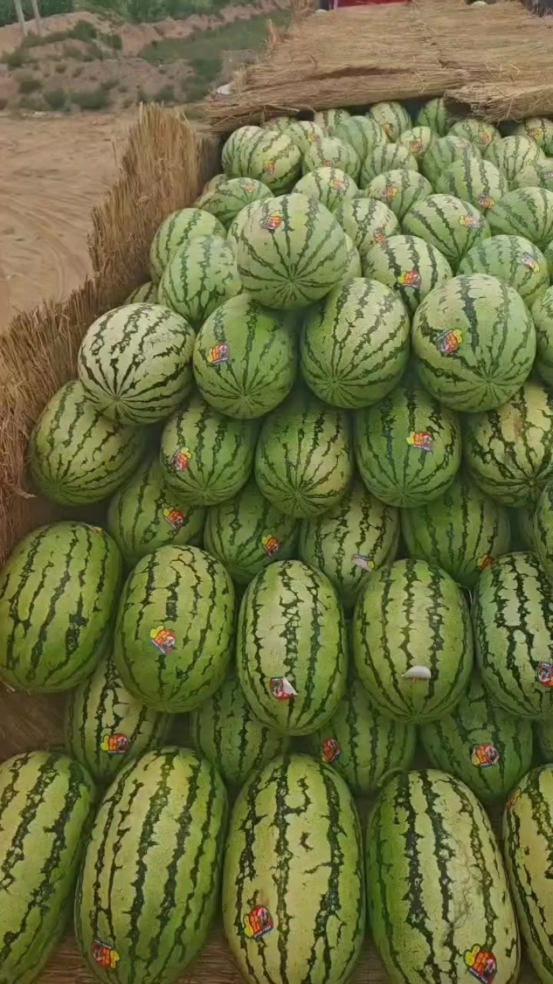 甘肃金花西瓜，硒砂瓜大吨位供应皮薄瓤红口感酥脆甜。欢迎全
