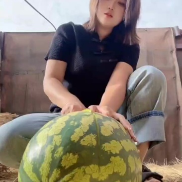 宁夏硒砂瓜,大吨位供应皮薄瓤红口感酥脆甜,欢迎全国各地客
