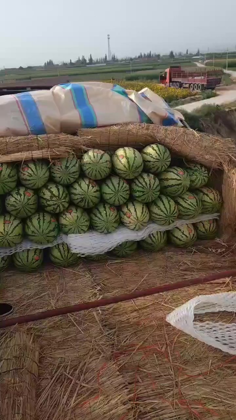 宁夏硒砂瓜，大吨位供应皮薄瓤红口感酥脆甜，欢迎全国各地客