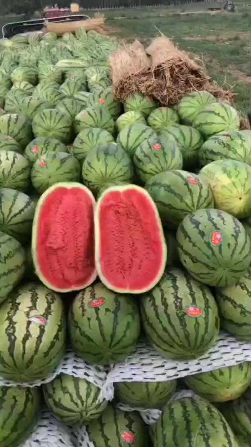 宁夏硒砂瓜，大吨位供应皮薄瓤红口感酥脆甜，欢迎全国各地客
