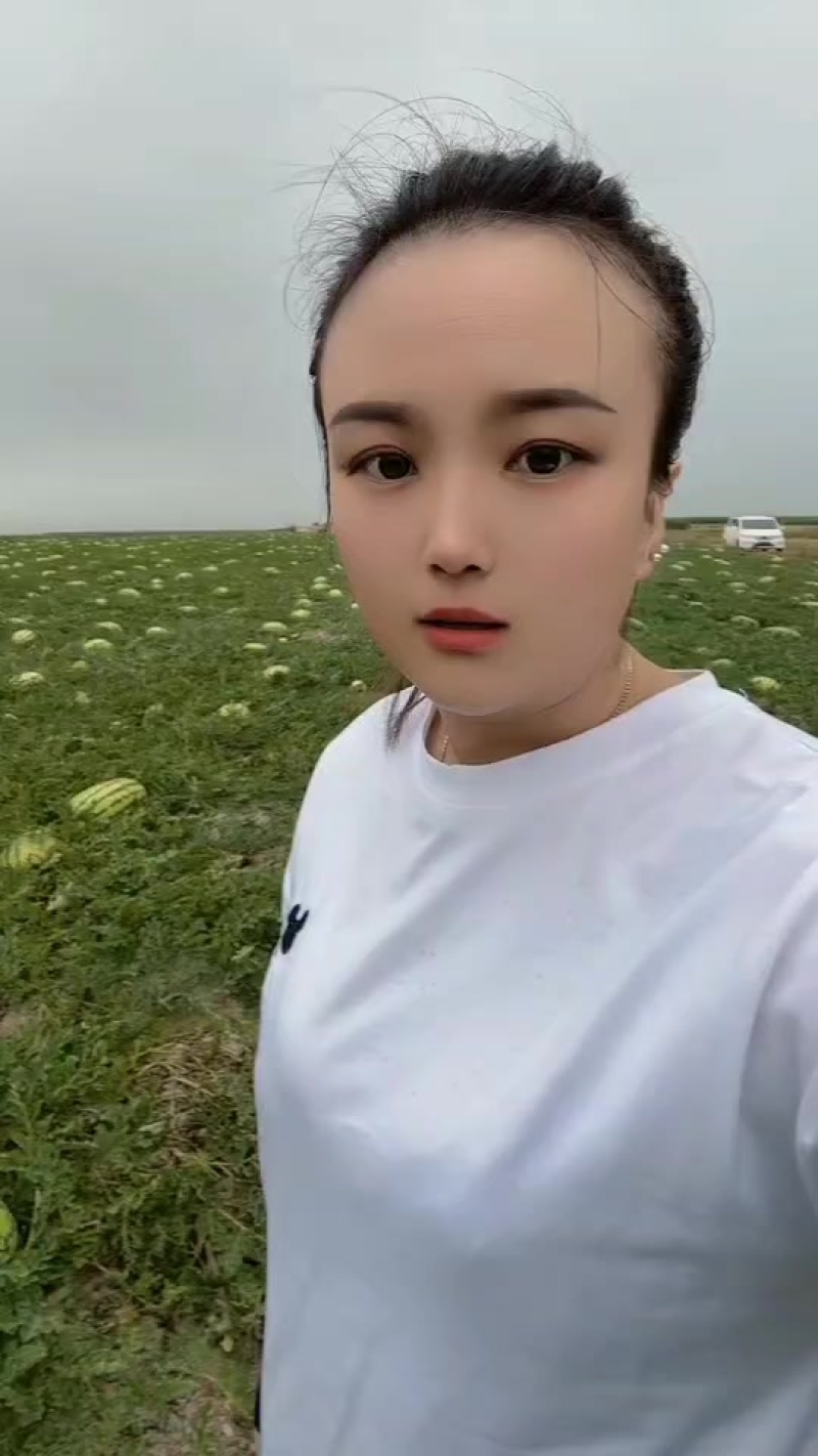 宁夏硒砂瓜，大吨位供应皮薄瓤红口感酥脆甜，欢迎全国各地客
