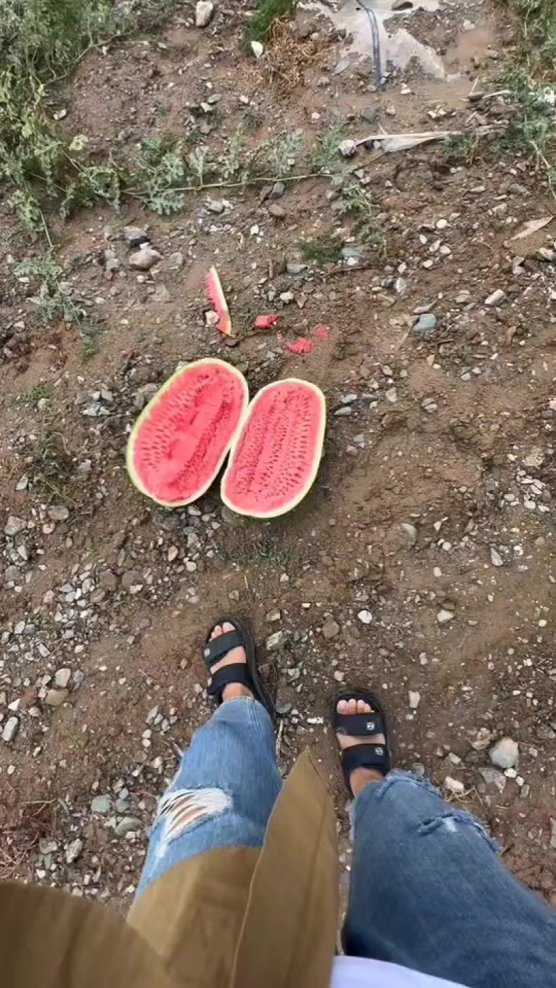 宁夏硒砂瓜，大吨位供应皮薄瓤红口感酥脆甜，欢迎全国各地客